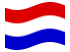 Drapeau Hesse-Nassau (province prussienne) flottant