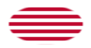 Drapeau Sons of Liberty (USA v. 1765, 13 bandes) en vignette ovale