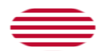 Drapeau Sons of Liberty (USA v. 1765, 13 bandes) en vignette ovale