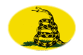 Drapeau Gadsden (USA v. 1775) en vignette ovale