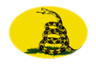 Drapeau Gadsden (USA v. 1775) en vignette ovale