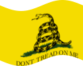 Drapeau Gadsden (USA v. 1775) flottant statique