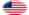 Drapeau Great Star (USA 1818-1819) en vignette ovale