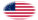Drapeau Great Star (USA 1818-1819) en vignette ovale