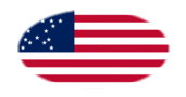 Drapeau Great Star (USA 1818-1819) en vignette ovale