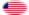 Drapeau Star-Spangled Banner (USA 1795-1818) en vignette ovale