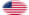 Drapeau Fort Sumter (USA 1861) en vignette ovale