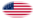 Drapeau Fort Sumter (USA 1861) en vignette ovale