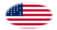 Drapeau Fort Sumter (USA 1861) en vignette ovale