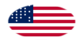 Drapeau Fort Sumter (USA 1861) en vignette ovale