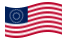 Drapeau États-Unis 37 étoiles (1867-1877) flottant