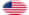 Drapeau États-Unis 37 étoiles (1867-1877) en vignette ovale