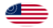 Drapeau États-Unis 37 étoiles (1867-1877) en vignette ovale