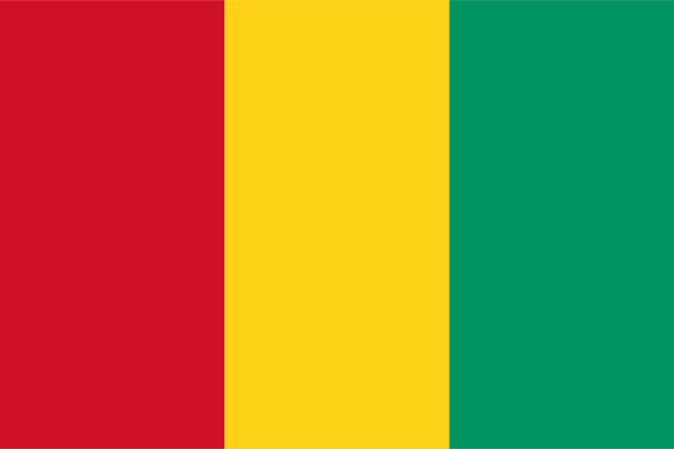 Guinée Drapeau