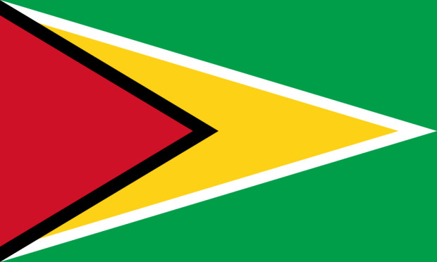 Drapeau Guyana, Drapeau Guyana