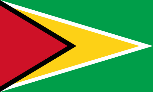 Drapeau Guyana