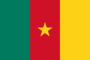 Graphiques de drapeau Cameroun