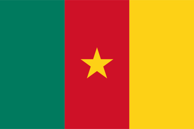 Drapeau Cameroun