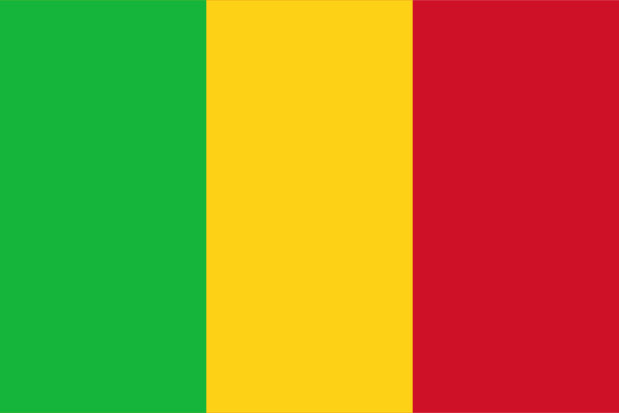 Drapeau Mali, Drapeau Mali