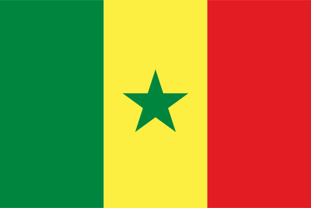 Drapeau Sénégal