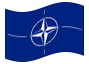 Drapeau animé OTAN (Organisation du Traité de l'Atlantique Nord)