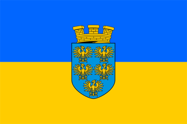 Drapeau Basse-Autriche (drapeau de service), Drapeau Basse-Autriche (drapeau de service)