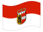 Drapeau animé Salzbourg (drapeau de service)