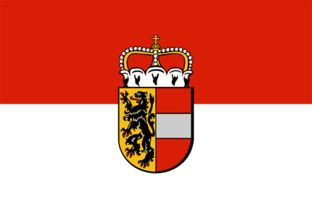 Drapeau Salzbourg (drapeau de service), Drapeau Salzbourg (drapeau de service)