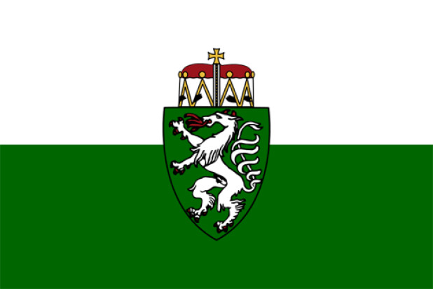 Drapeau Styrie (drapeau de service)