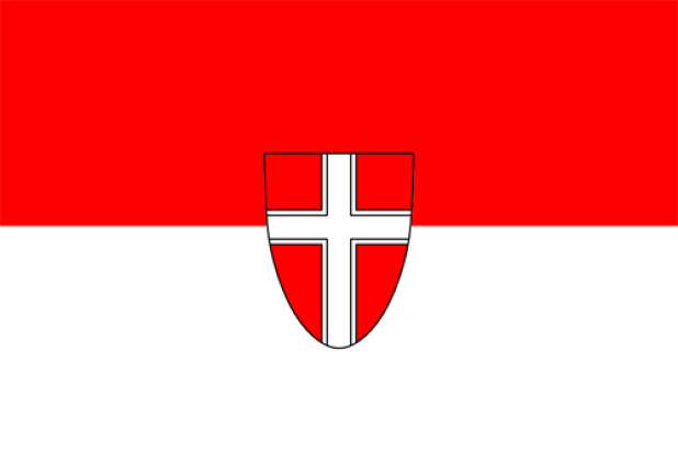 Drapeau Vienne (drapeau de service), Drapeau Vienne (drapeau de service)