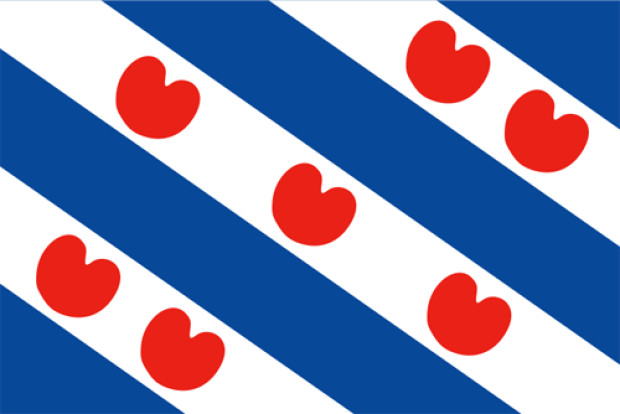 Drapeau Frise (Fryslân), Drapeau Frise (Fryslân)