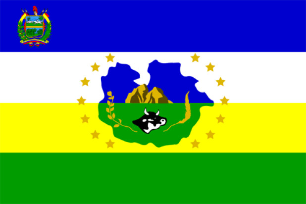 Drapeau Guárico, Drapeau Guárico