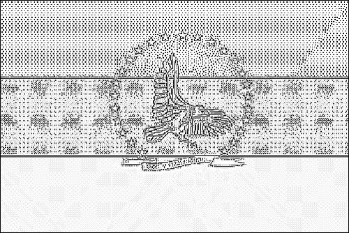 Contour du drapeau Falcón à colorier