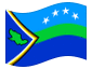 Drapeau animé Delta Amacuro