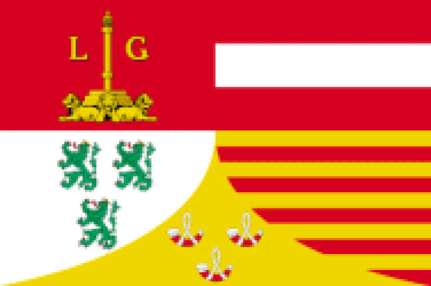 Drapeau Liège, Drapeau Liège