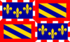 Graphiques de drapeau Bourgogne