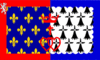Graphiques de drapeau Pays de la Loire