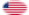 Drapeau Betsy Ross (USA 1777-1795) en vignette ovale
