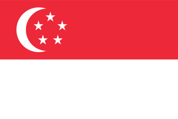 Drapeau Singapour, Drapeau Singapour