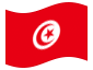 Drapeau animé Tunisie