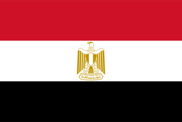 Drapeau Égypte, Drapeau Égypte