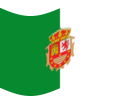 Drapeau Fuerteventura flottant statique