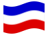 Drapeau Schleswig-Holstein (province prussienne) flottant