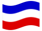 Drapeau animé Schleswig-Holstein (province prussienne)