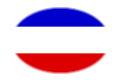 Drapeau Schleswig-Holstein (province prussienne) en vignette ovale