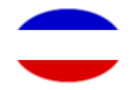 Drapeau Schleswig-Holstein (province prussienne) en vignette ovale